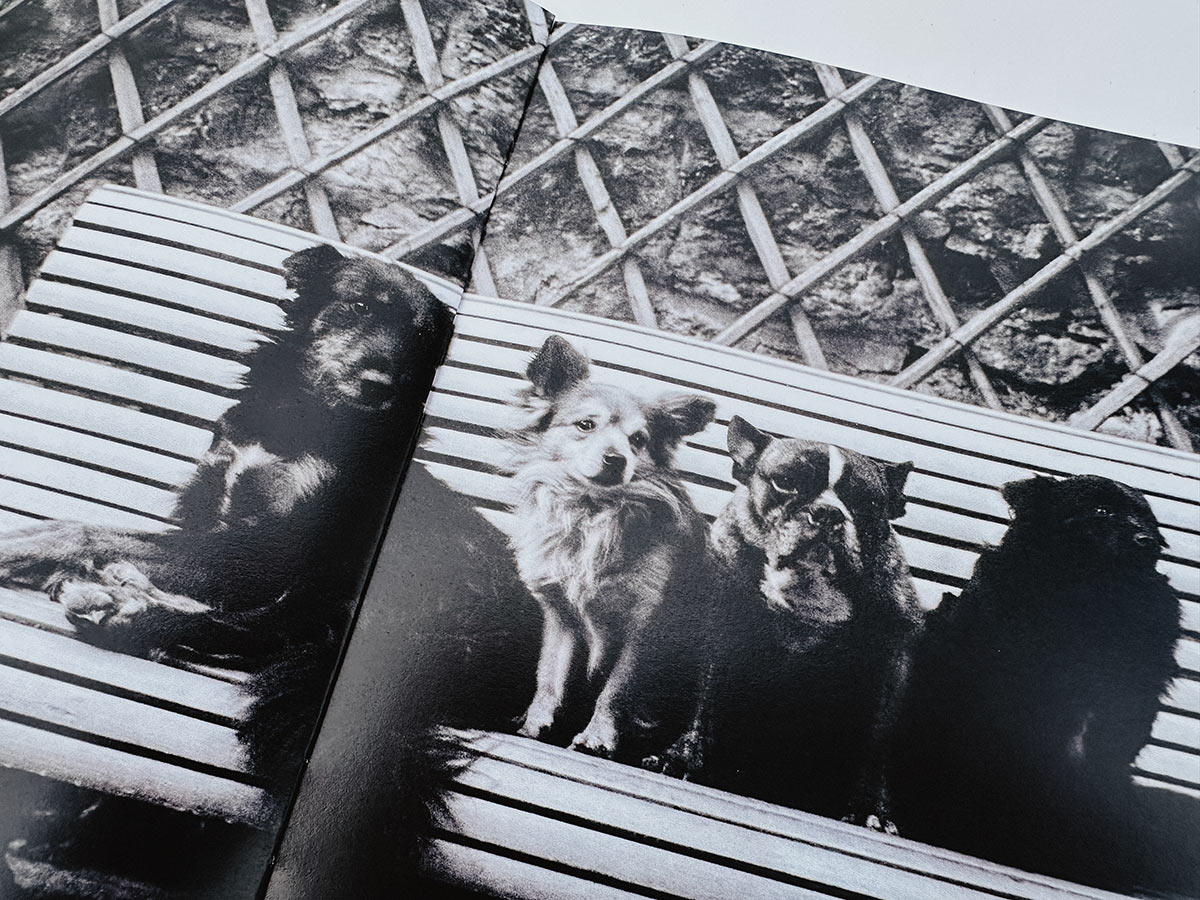 LIVRET DE VISITE "ZOLA, PHOTOGRAPHE"