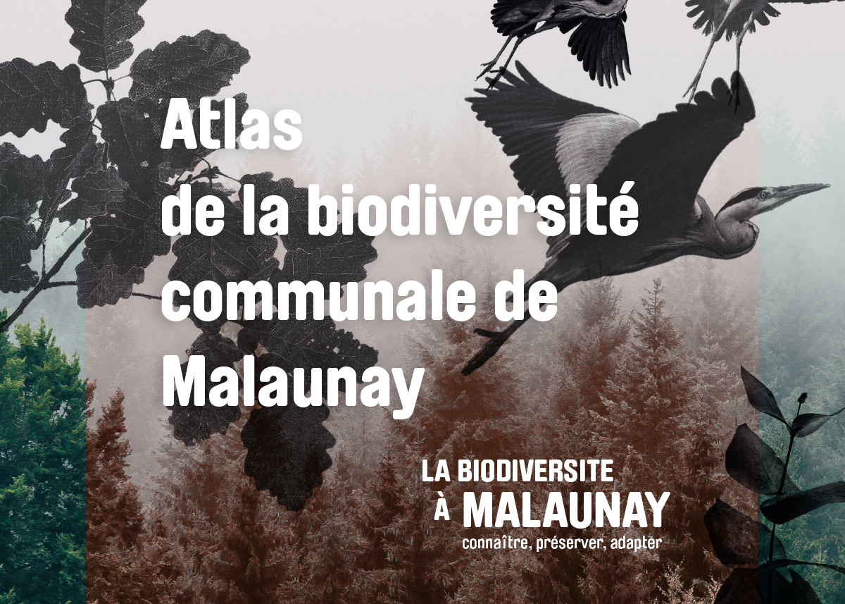 ATLAS DE LA BIODIVERSITé DE MALAUNAY