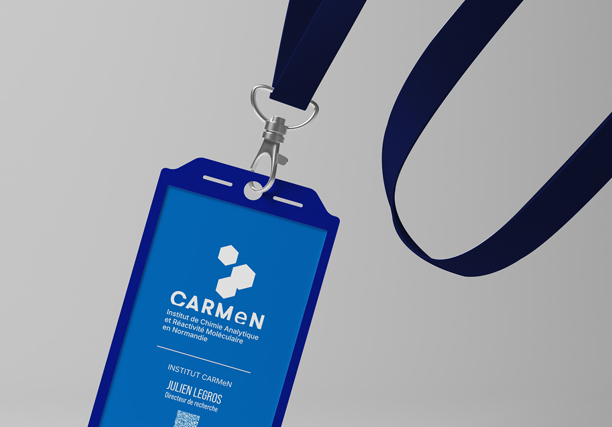 CNRS INSTITUT CARMeN