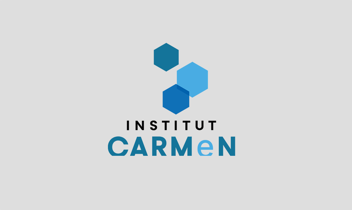 CNRS INSTITUT CARMeN