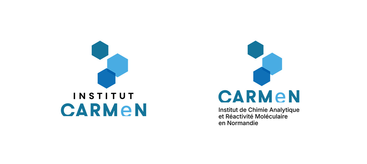 CNRS INSTITUT CARMeN