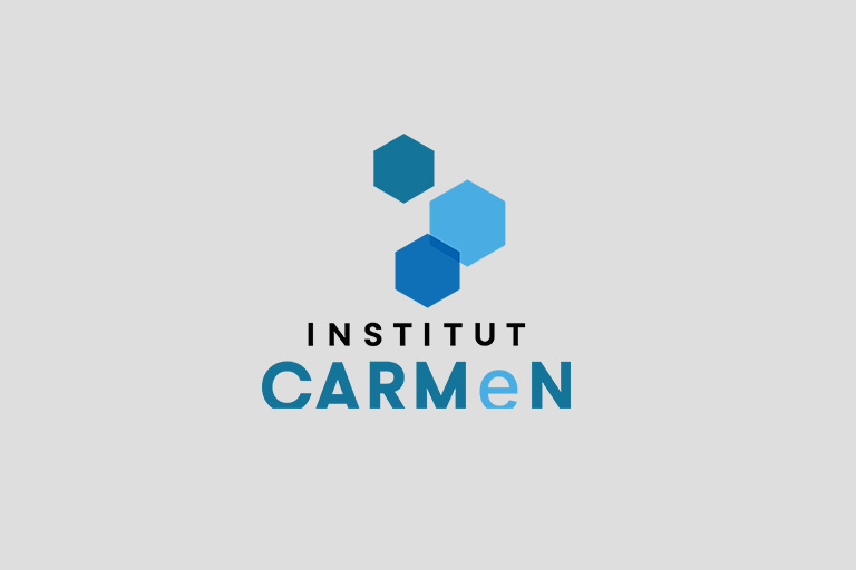 CNRS INSTITUT CARMeN