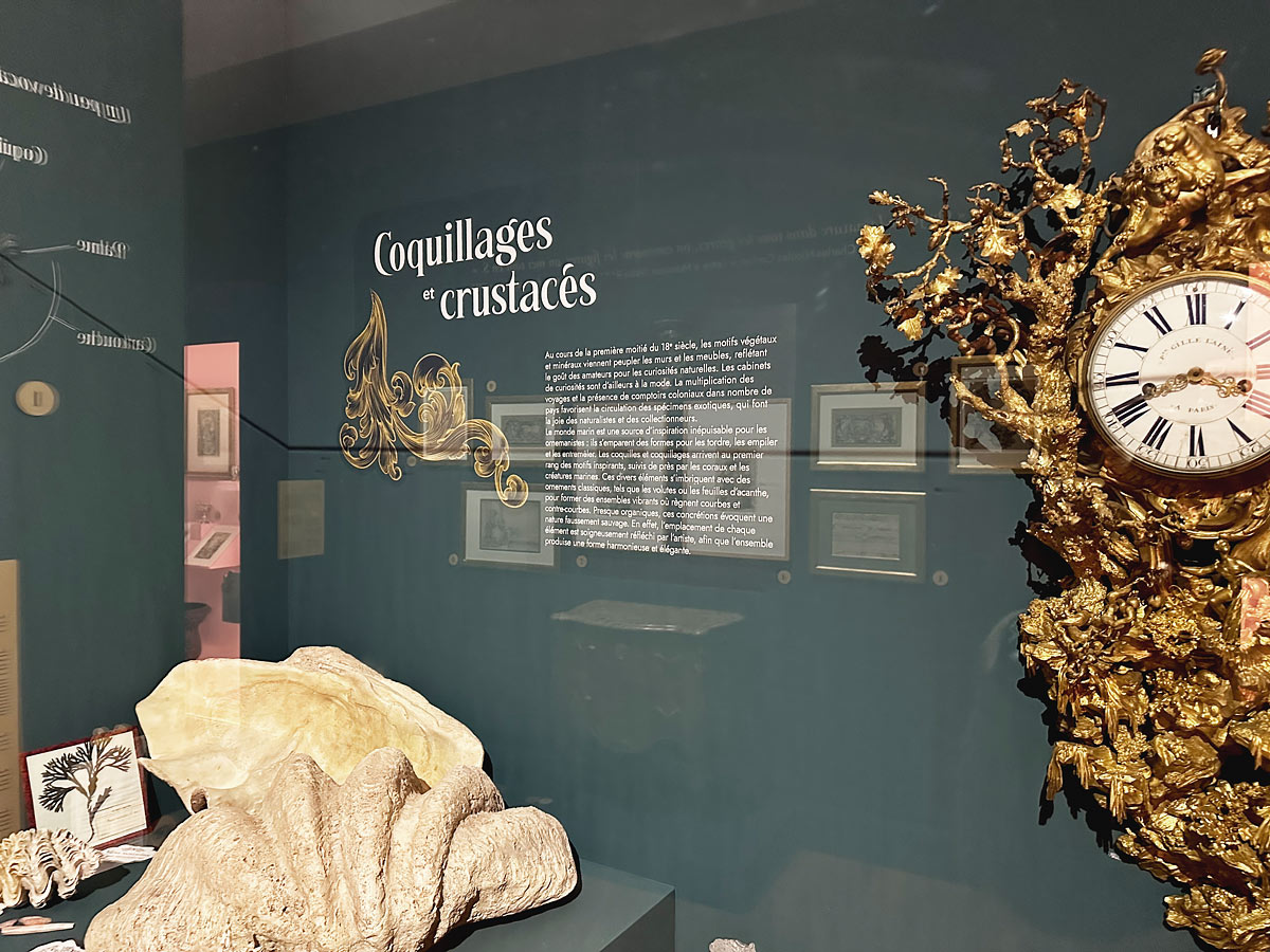 JAMAIS TROP ROCOCO !