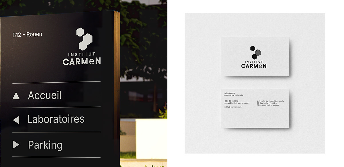 CNRS INSTITUT CARMeN